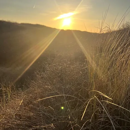 Apartment Langeoog-villa Apollonia Langeoog