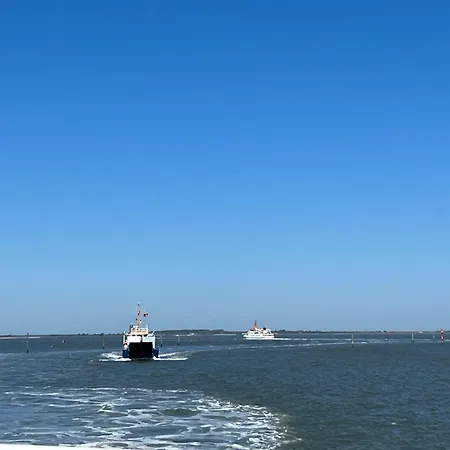 公寓 Langeoog-villa Apollonia 朗格奥