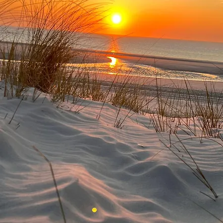 Langeoog-villa Apollonia Apartment *