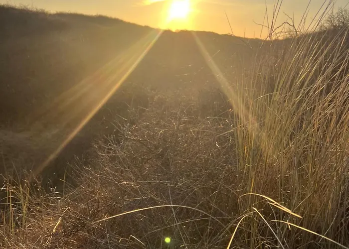 아파트 Langeoog-villa Apollonia 랑에오그