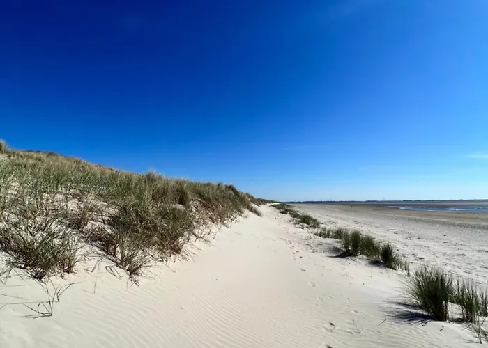 Langeoog-villa Apollonia 아파트 랑에오그